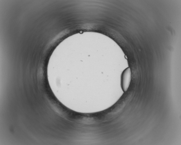 X0000113040256200910081217