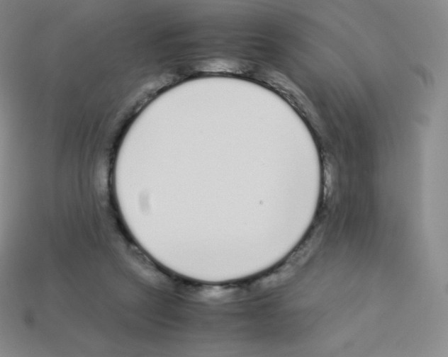 X0000113040257200910081217