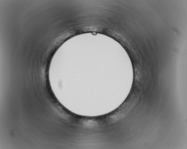 X0000113040258200910081217