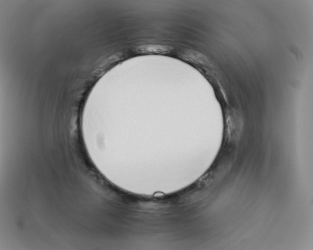 X0000113040259200910081217