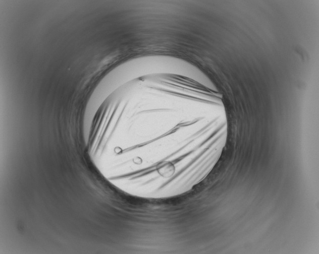 X0000113040260200910081217