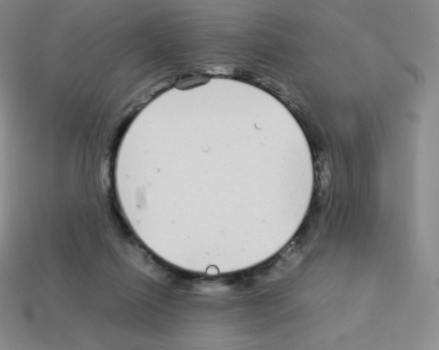 X0000113040262200910081217
