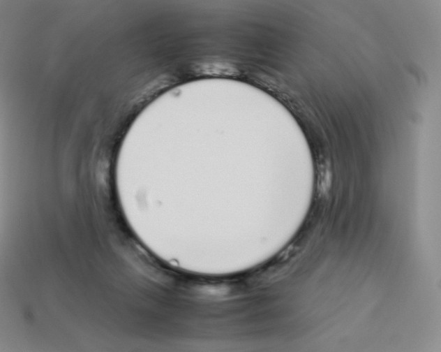 X0000113040263200910081217