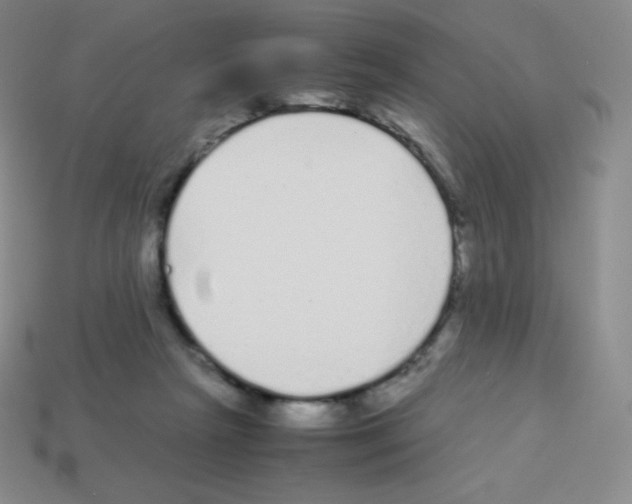 X0000113040265200910081217