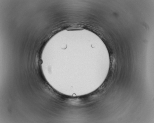 X0000113040266200910081217