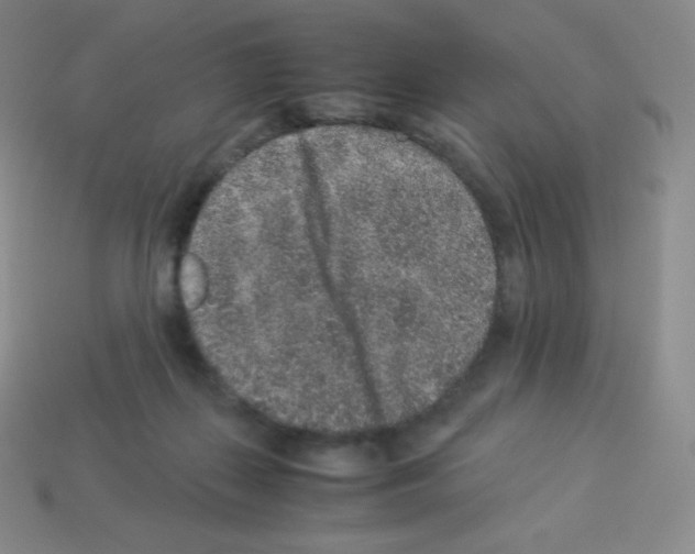 X0000113040267200910081217
