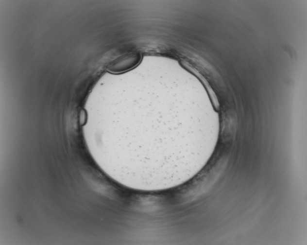 X0000113040268200910081217