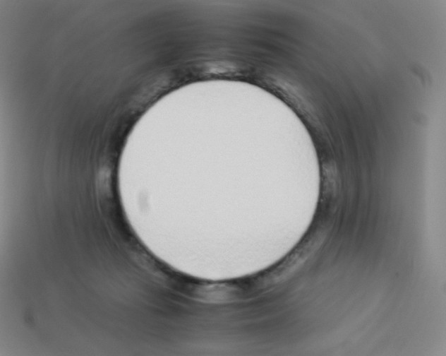 X0000113040269200910081217