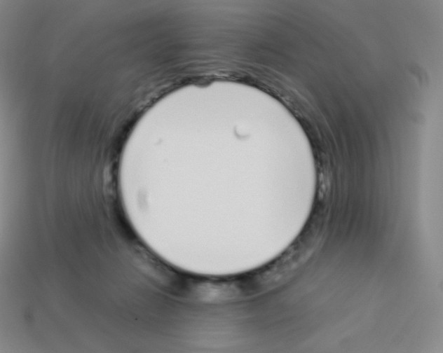 X0000113040270200910081217