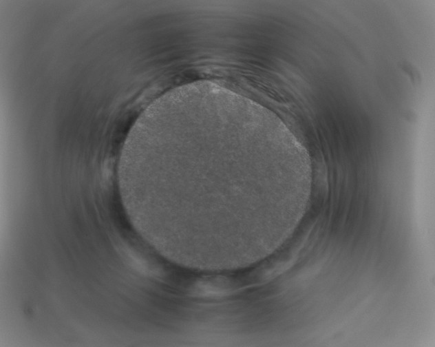 X0000113040271200910081217