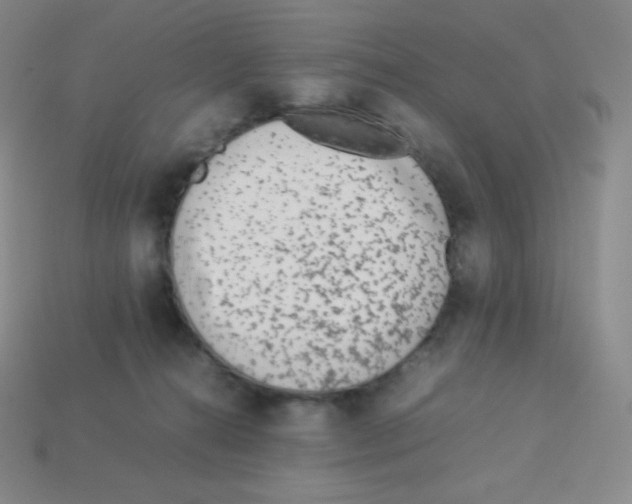 X0000113040272200910081217