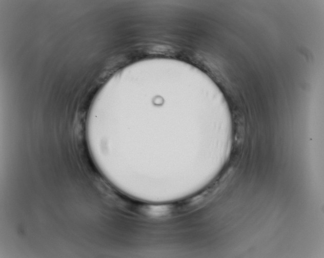X0000113040273200910081217