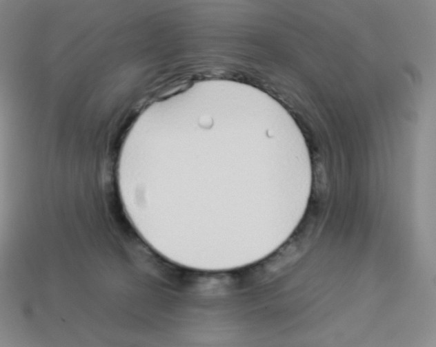 X0000113040274200910081217