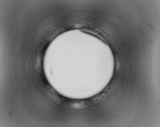 X0000113040275200910081217