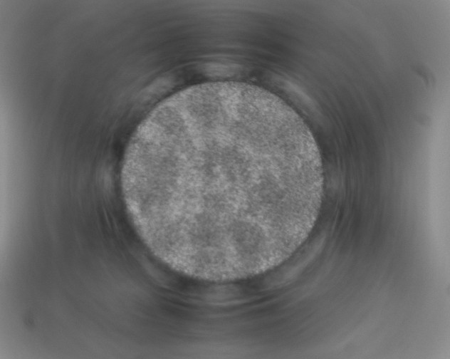 X0000113040277200910081217