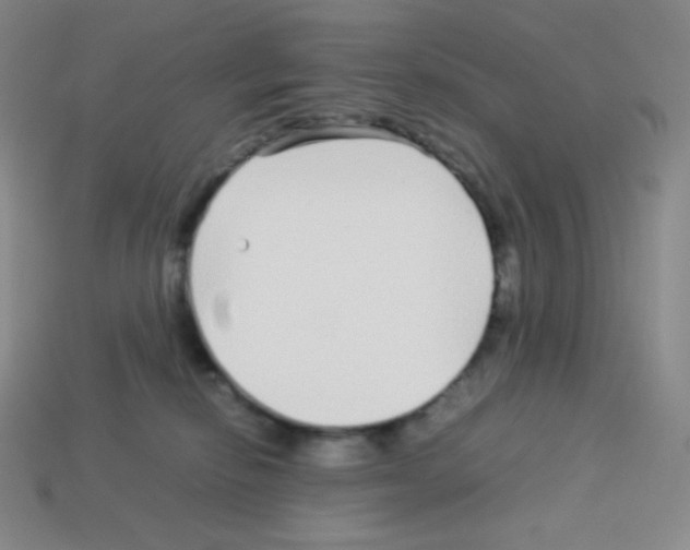 X0000113040278200910081217