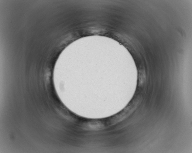 X0000113040279200910081217