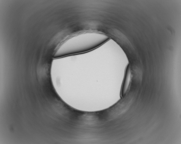X0000113040280200910081217