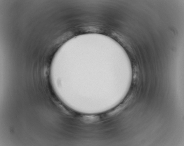 X0000113040281200910081217