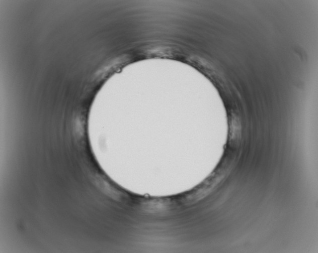 X0000113040282200910081217