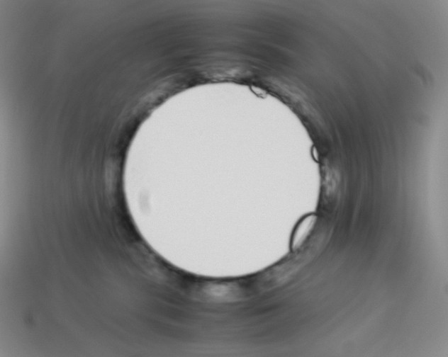 X0000113040283200910081217