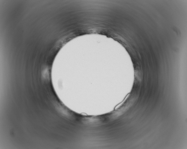 X0000113040286200910081217