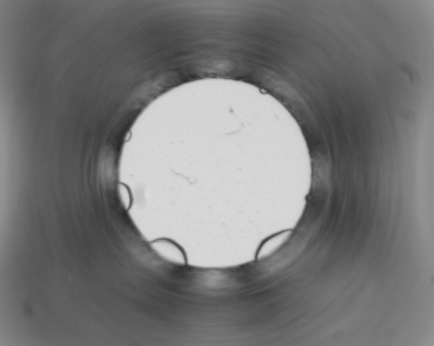 X0000113040287200910081217