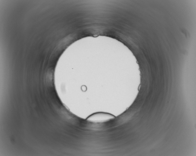 X0000113040288200910081217