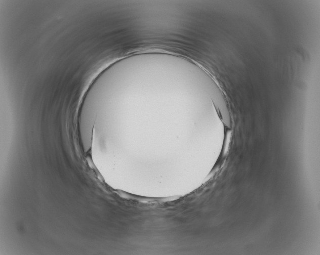 X0000113040289200910081216