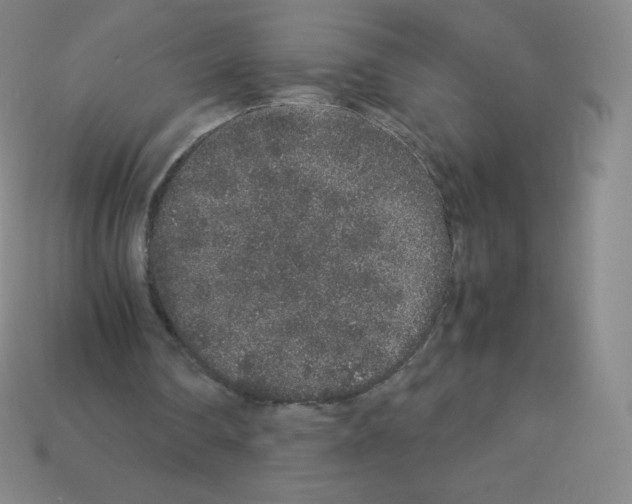 X0000113040290200910081216