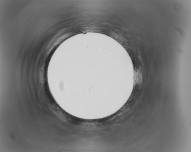 X0000113040291200910081216