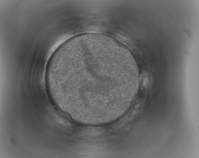 X0000113040292200910081216