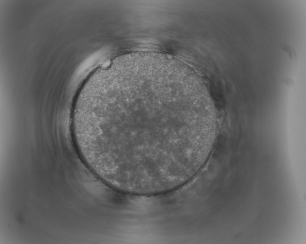 X0000113040293200910081216