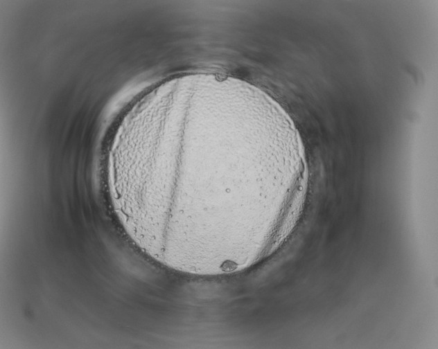 X0000113040294200910081216