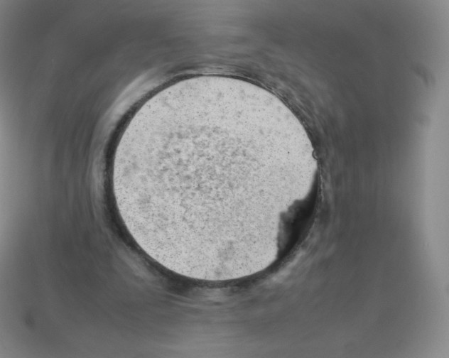 X0000113040295200910081216