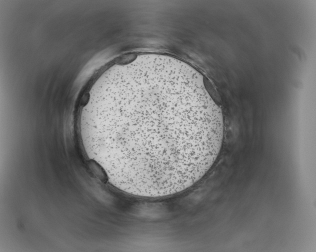 X0000113040296200910081216