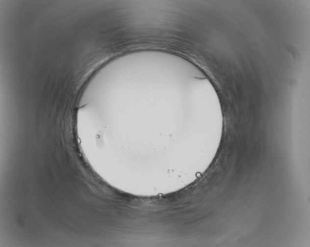 X0000113040297200910081216