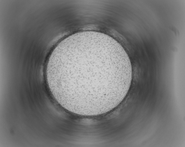 X0000113040298200910081216