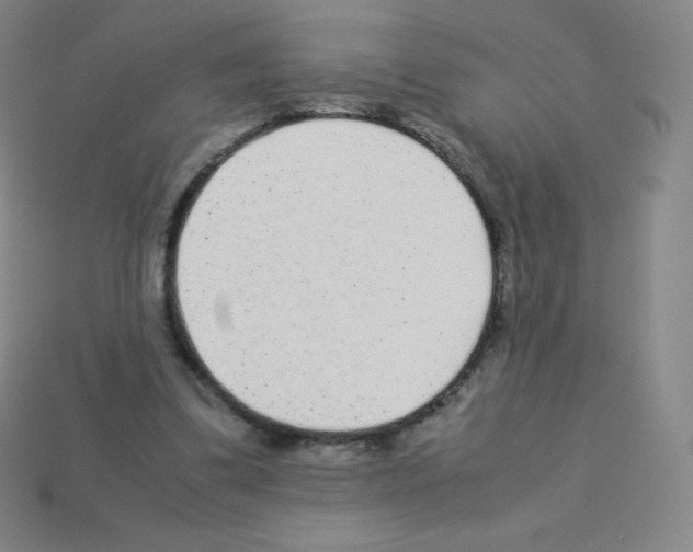X0000113040299200910081216