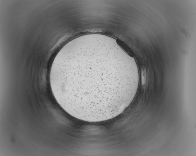 X0000113040300200910081216