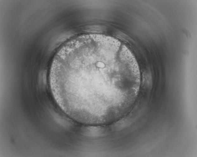 X0000113040302200910081216
