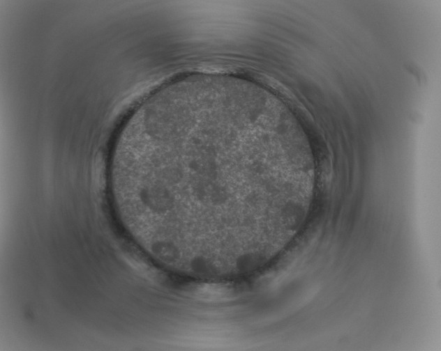 X0000113040303200910081216