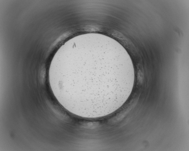 X0000113040304200910081216