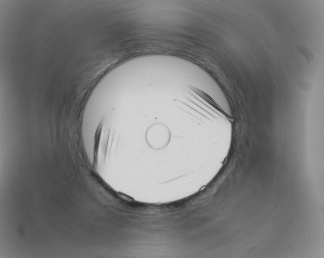 X0000113040305200910081216