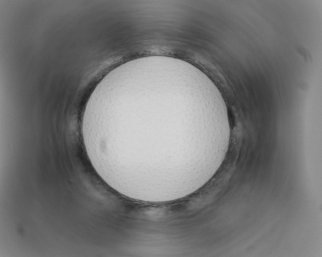 X0000113040306200910081216