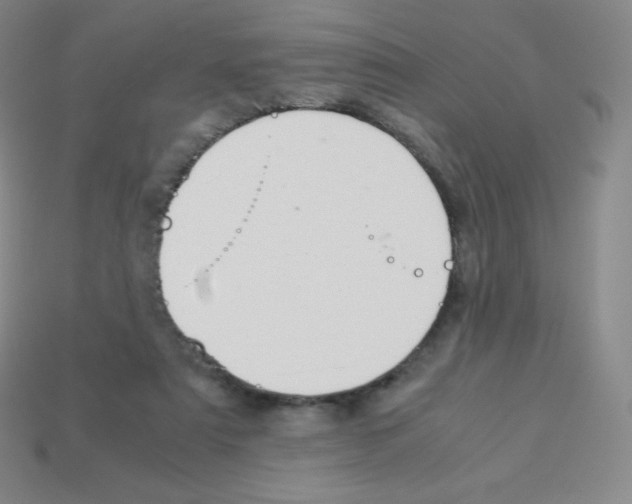 X0000113040307200910081216