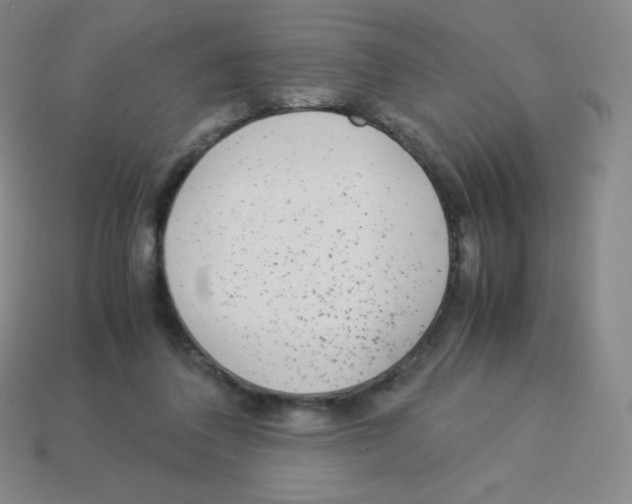 X0000113040308200910081216
