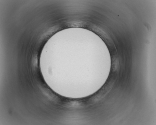 X0000113040310200910081216