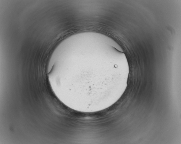 X0000113040312200910081216