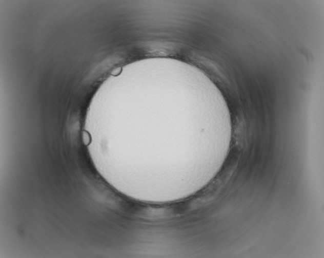 X0000113040314200910081216